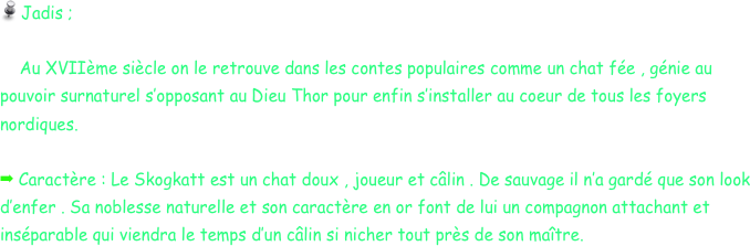  Jadis ; 
    
    Au XVIIème siècle on le retrouve dans les contes populaires comme un chat fée , génie au pouvoir surnaturel s’opposant au Dieu Thor pour enfin s’installer au coeur de tous les foyers nordiques.

 Caractère : Le Skogkatt est un chat doux , joueur et câlin . De sauvage il n’a gardé que son look d’enfer . Sa noblesse naturelle et son caractère en or font de lui un compagnon attachant et inséparable qui viendra le temps d’un câlin si nicher tout près de son maître.
