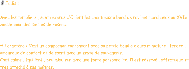  Jadis ; 
    
Avec les templiers , sont revenus d’Orient les chartreux à bord de navires marchands au XVIe Siècle pour des siècles de misère.


 Caractère : C’est un compagnon ronronnant avec sa petite bouille d’ours miniature , tendre , amoureux de confort et de sport avec un zeste de sauvagerie.   
Chat calme , équilibré , peu miauleur avec une forte personnalité. Il est réservé , affectueux et très attaché à ses maîtres. 