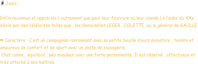  Jadis ; 

Enfin reconnus et appréciés ( autrement que pour leur fourrure où leur viande ) à l’aube du XXe siècle par des célébrités telles que ; les demoiselles LEGER , COLETTE  ou le général de GAULLE.

 Caractère : C’est un compagnon ronronnant avec sa petite bouille d’ours miniature , tendre et amoureux de confort et de sport avec un zeste de sauvagerie.   
 Chat calme , équilibré , peu miauleur avec une forte personnalité. Il est réservé , affectueux et très attaché à ses maîtres. 