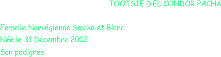 TOOTSIE D’EL CONDOR PACHA

Femelle Norvégienne Smoke et Blanc
Née le 31 Décembre 2002
Son pedigree 