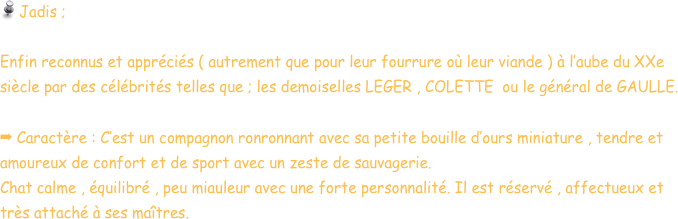  Jadis ; 

Enfin reconnus et appréciés ( autrement que pour leur fourrure où leur viande ) à l’aube du XXe siècle par des célébrités telles que ; les demoiselles LEGER , COLETTE  ou le général de GAULLE.

 Caractère : C’est un compagnon ronronnant avec sa petite bouille d’ours miniature , tendre et amoureux de confort et de sport avec un zeste de sauvagerie.   
Chat calme , équilibré , peu miauleur avec une forte personnalité. Il est réservé , affectueux et très attaché à ses maîtres. 